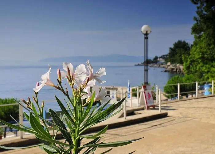In With Sea View, Terrace, Air Conditioning, Wifi * Lovran